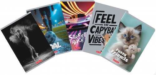 Caiet A5 48 file, hartie 70g/mp FSC mix, patratele, Megamix 3, diverse modele, Herlitz